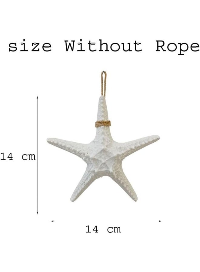 YINZUO YINZUO Decorative Starfish Wall Hanging  - Image 2