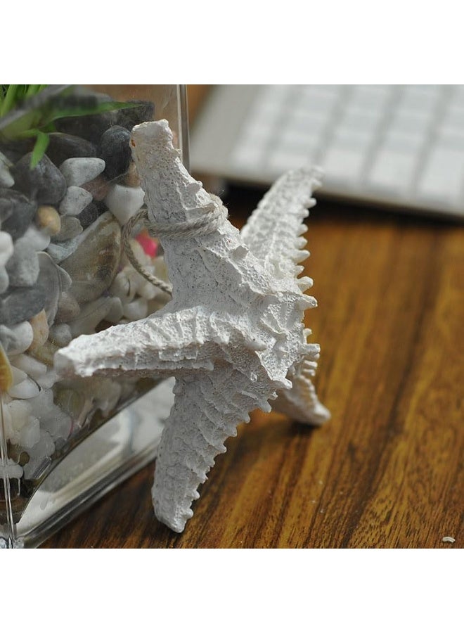 YINZUO YINZUO Decorative Starfish Wall Hanging  - Image 1