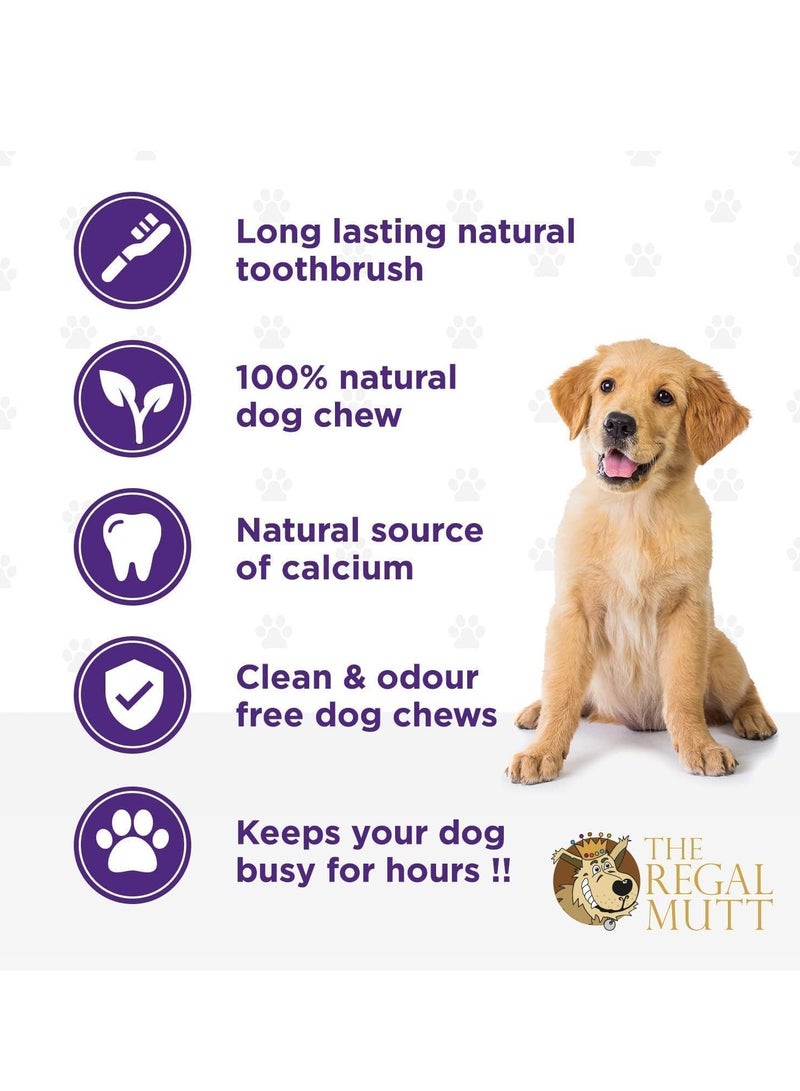 Regal The Regal Mutt Antler Dog Chews Medium Pack of 3 - Image 4