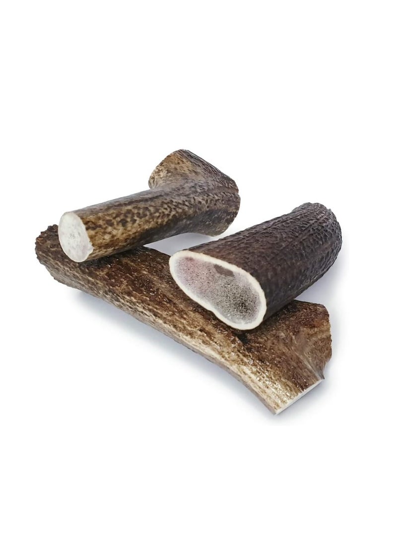 Regal The Regal Mutt Antler Dog Chews Medium Pack of 3 - Image 3