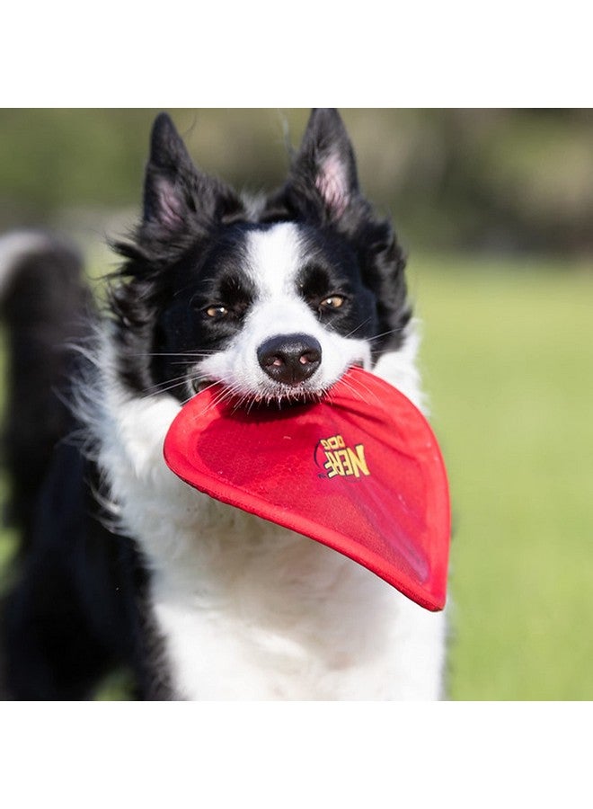 Nerf Dog Nylon Flyer Dog Toy, Flying Disc, Lightweight, Durable and Water Resistant, Great for Beach and Pool, 9 inch diameter, for Medium/Large Breeds, Single Unit, Red - Image 3