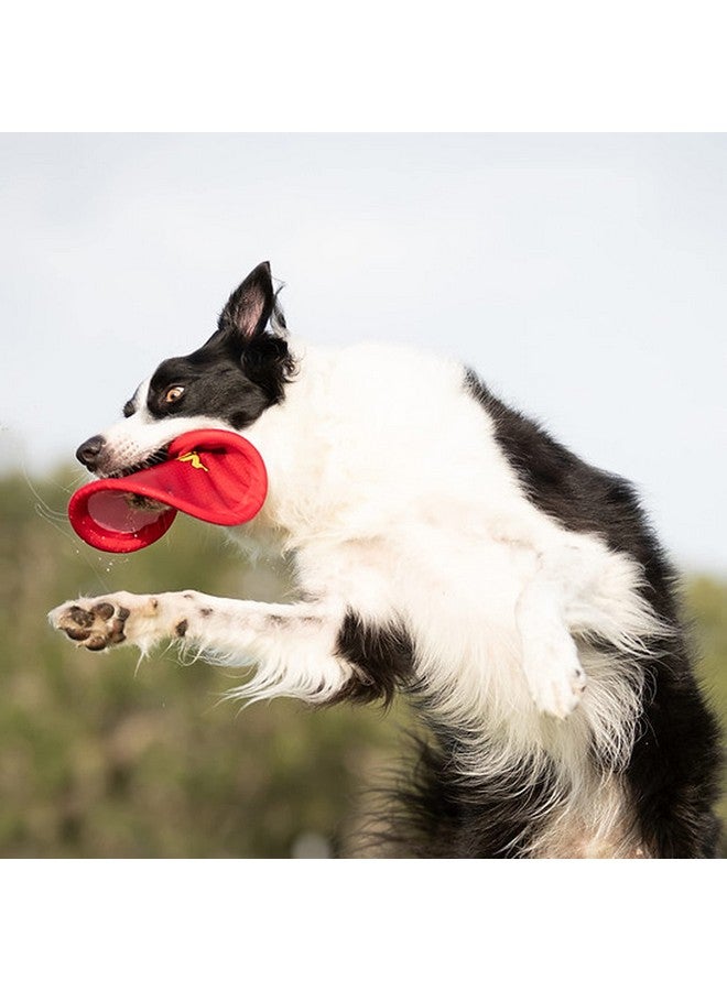 Nerf Dog Nylon Flyer Dog Toy, Flying Disc, Lightweight, Durable and Water Resistant, Great for Beach and Pool, 9 inch diameter, for Medium/Large Breeds, Single Unit, Red - Image 4