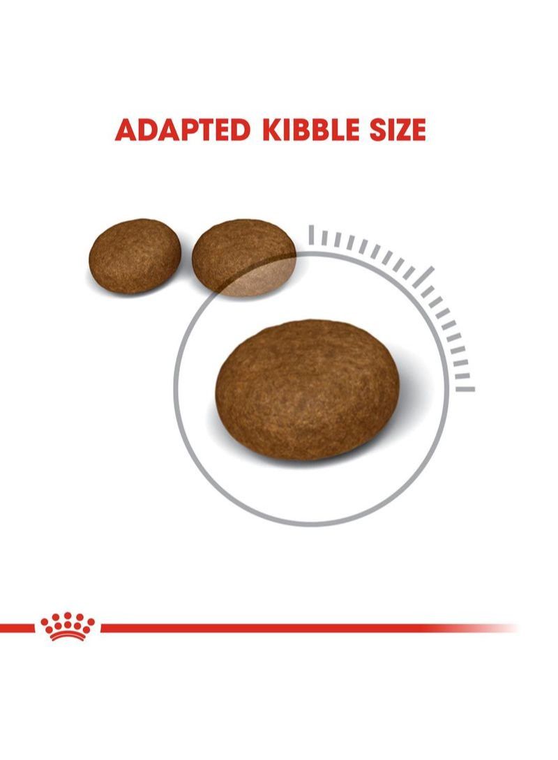 ROYAL CANIN Fenline Care Nutrition Hair Skin 10Kg - Image 4