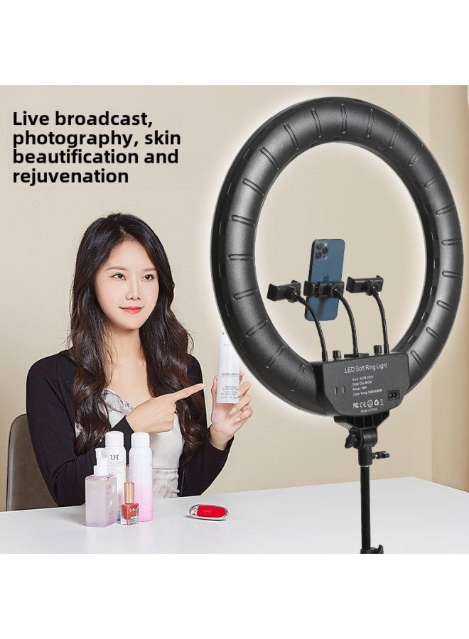 Loquat 18 21 Ring RL-21 Live Light Tripod Photography Light LED Beauty Chattering Mobile Phone Self-timer Light-Specifications:21inch RL-21 With Light Bag + Ordinary 2.1m - Image 2