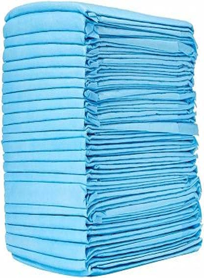 PetWag Pet Toilet Training Pads (60 X 60 cm), 10 Piece - Image 1