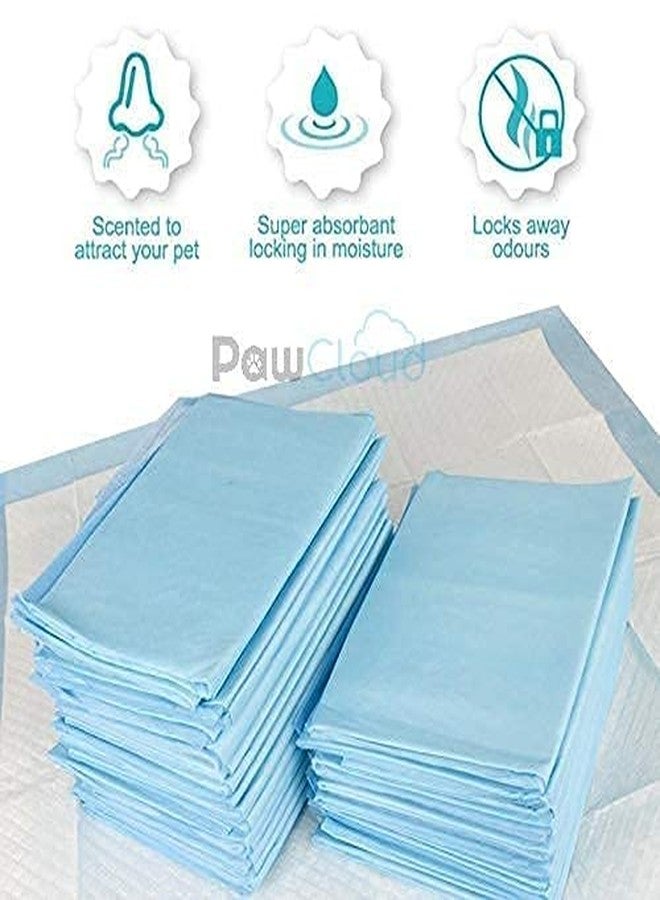 PetWag Pet Toilet Training Pads (60 X 60 cm), 10 Piece - Image 2