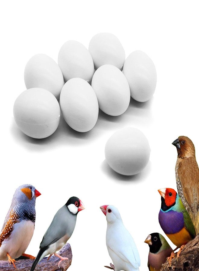 FOIBURELY 8 Pcs Solid Bird Plastic Eggs Hatching Eggs Gouldian Finch, Society Finch, Zebra Finch, Spice Finch Trick The Birds to Stop Laying Eggs, Fake Eggs（16mm*12mm） - Image 1