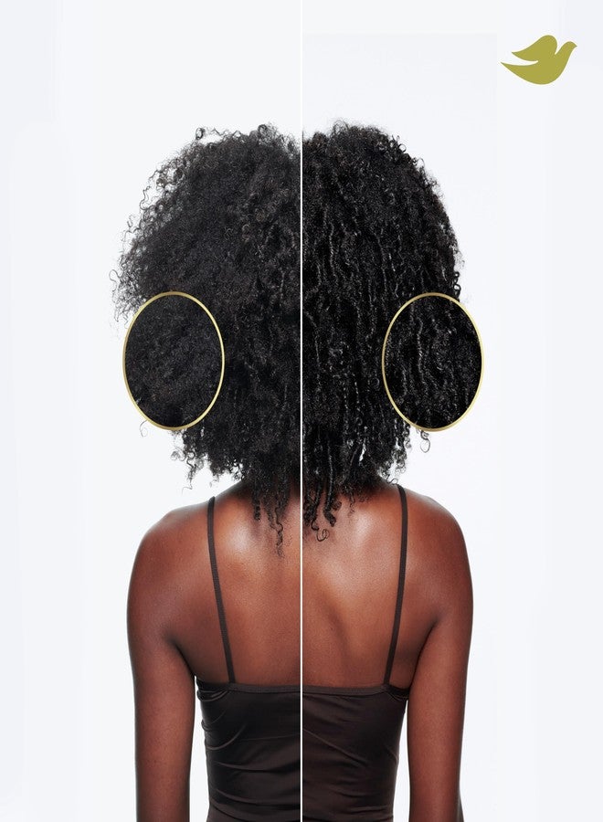 Dove باقة دوف للشامبو والبلسم وقناع ريجيم الأمينو للتجاعيد 4 قطع للشعر المجعد والمجعد مع تقنية العناية بالبروتين الحيوي + الأمينو وزيت الجوجوبا - Image 5