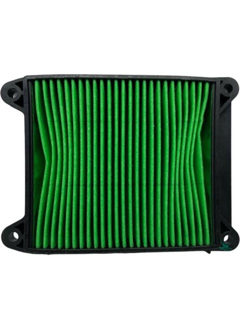 Pulsar N 250 Air Filter Original