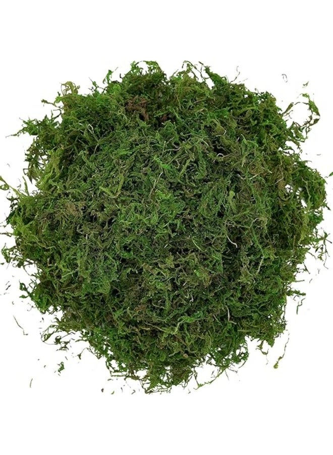 LINGWEI 800g Artificial Moss Fake Green Grass for Centerpieces Home Kitchen Garden Decor - Image 4