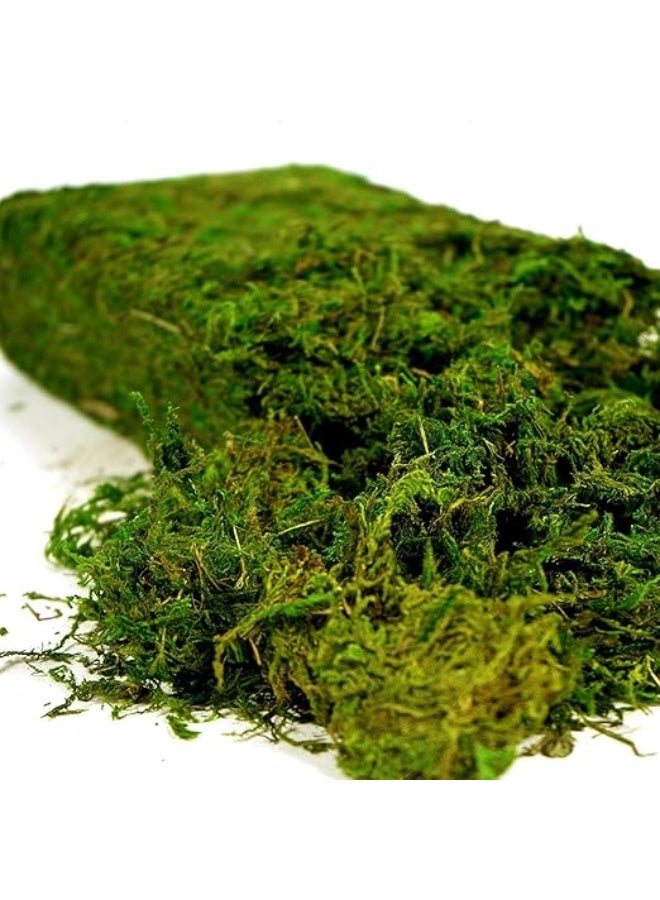 LINGWEI 800g Artificial Moss Fake Green Grass for Centerpieces Home Kitchen Garden Decor - Image 1