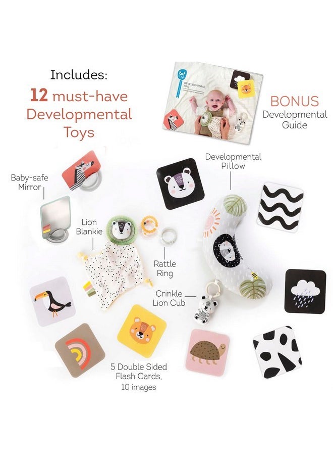 Taf Toys Taf Toys Newborn Developmental Toy Kit, Perfect for Boys and Girls, Includes 12 Essential Baby Boy and Girl Toys for Learning and Stimulation, Ideal New Baby Gift Basket  - Image 2