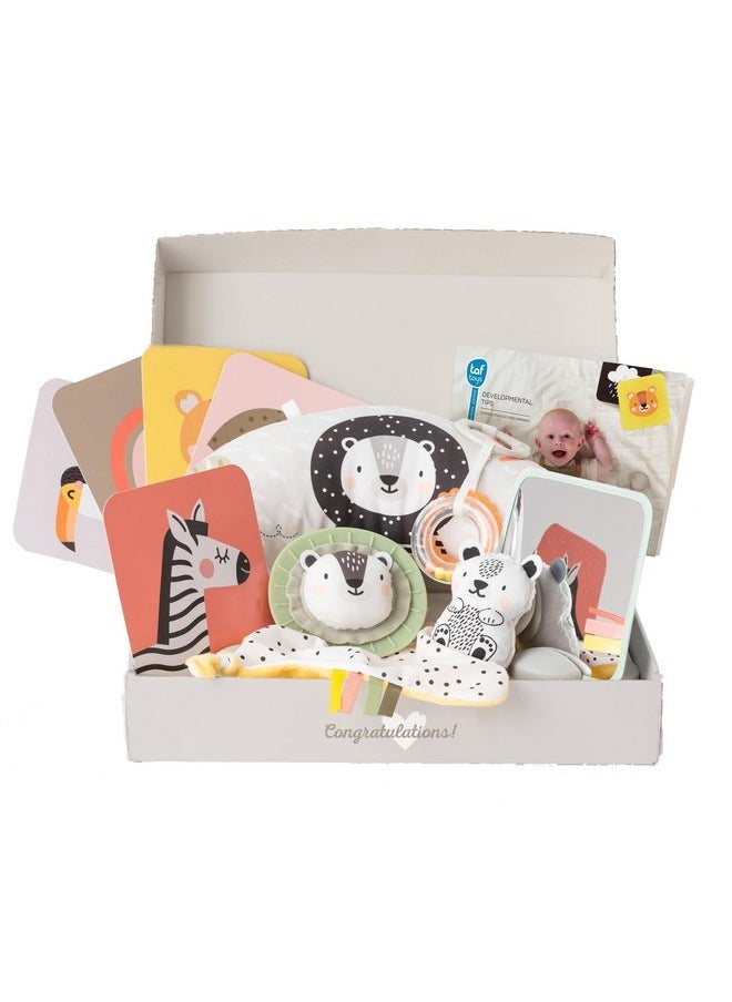 Taf Toys Taf Toys Newborn Developmental Toy Kit, Perfect for Boys and Girls, Includes 12 Essential Baby Boy and Girl Toys for Learning and Stimulation, Ideal New Baby Gift Basket  - Image 1