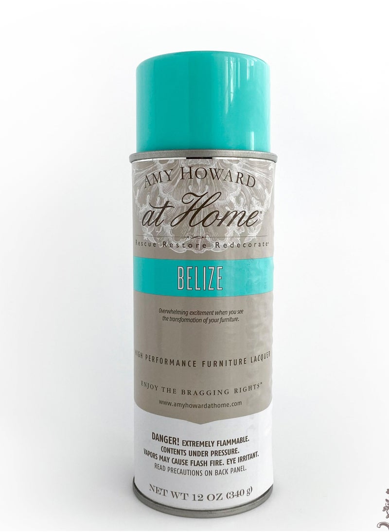 Amy Howard at Home - Belize - Furniture Lacquer - Image 1