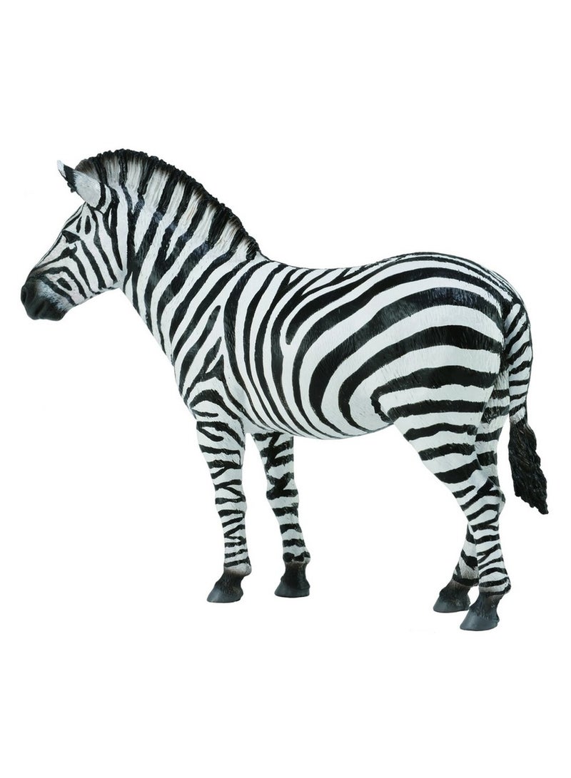 Collecta – Zebra Foal – 88850 
