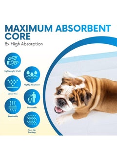HEALQU Puppy Pads  50Count, 24X24  Advanced Leakproof Technology For Housebreaking & Training  Ultra Absorbent Puppy Pee Pads  Ideal For Dogs, Puppies, Cats  Attractant Pet Training Pads  - Image 3