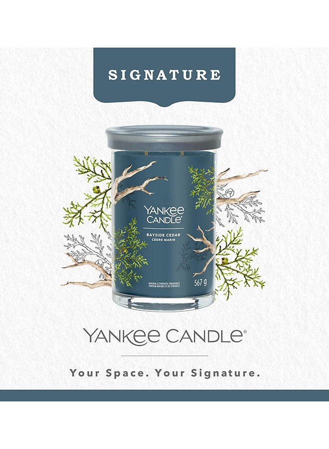 YANKEE CANDLE شمعة يانكي كاندل المعطرة | شمعة بايسايد سيدار الكبيرة في كوب مزدوج الفتيل | شمعة مزيج شمع الصويا طويلة الاحتراق | هدايا مثالية للنساء - Image 4
