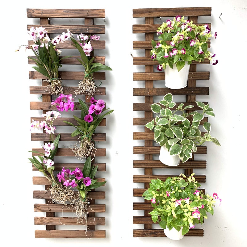 ShopLaLa ShopLaLa Wall Planter  Hanging Planter for Indoor Plants Plant Stand Air Plant Succulent Holder Vertical Garden Large Wall Decor for Living Room Room Decor for Teens 