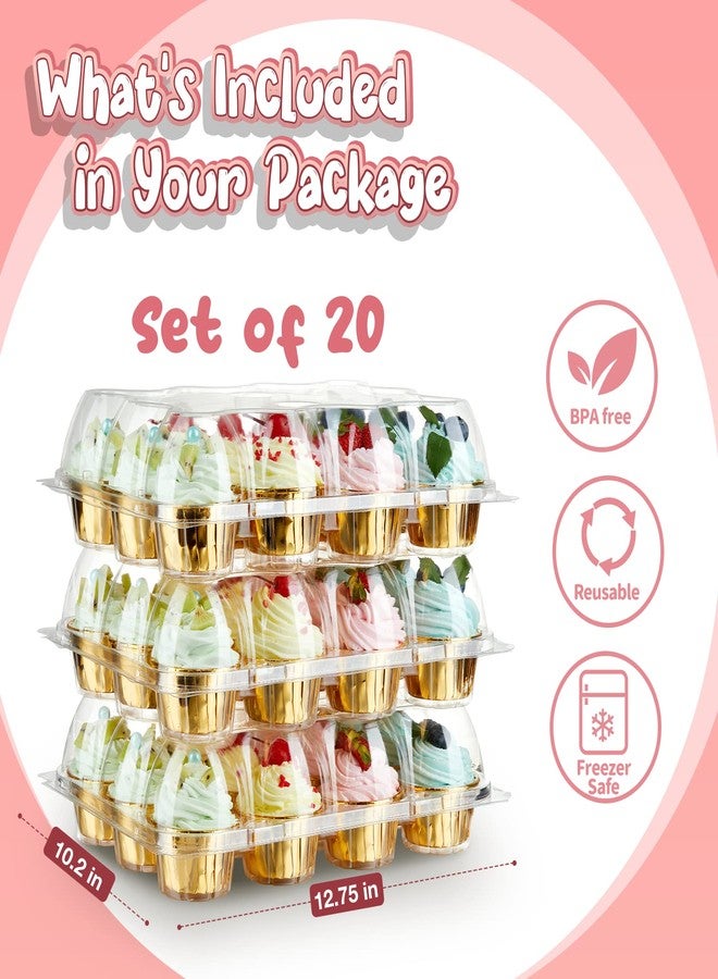 Gencywe (12 Pack x 20 Sets) Stackable Cupcake Carrier with 240 Pack Cupcake Liners, Plastic Cupcake Boxes Holders for 12 Cupcakes, High Tall Dome Lid Cupcake Containers, Clear Disposable Cupcake Trays - Image 5