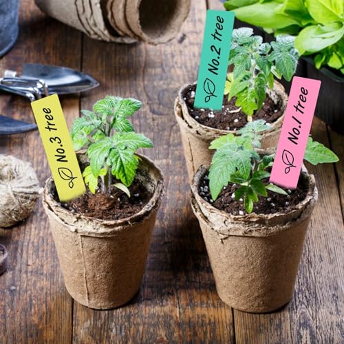 KINGLAKE 500 Pcs 5 Colors 2X10CM Plastic Waterproof Garden Plant Tags Nursery Garden Labels Markers Plant Stakes,Box of 500 - Image 5