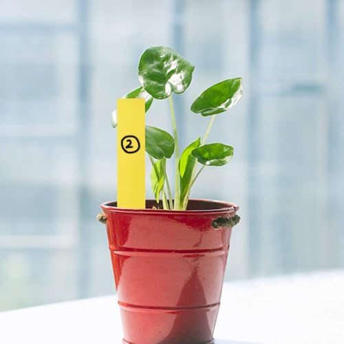 KINGLAKE 500 Pcs 5 Colors 2X10CM Plastic Waterproof Garden Plant Tags Nursery Garden Labels Markers Plant Stakes,Box of 500 - Image 4