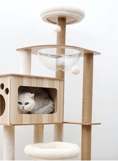 Multi-Level Kitten Play Tree with Scratching Post and Ladder - pzsku/Z7B79A597B35493C2B732Z/45/_/1712057692/a017149e-e4c1-4c76-b58e-6fc3457a826d