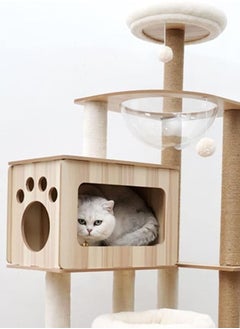 Multi-Level Kitten Play Tree with Scratching Post and Ladder - pzsku/Z7B79A597B35493C2B732Z/45/_/1712057702/ebd6168a-3639-48bd-a320-e8abe315e2cd