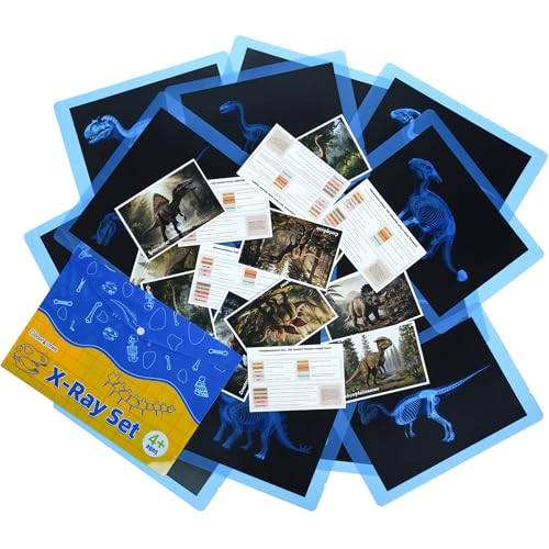 Odoorgames 15 Pcs Dinosaur Xrays Creatures CardsAnimal Xrays for KidsLight Table ToysMythical Creatures Science Kit - Image 1