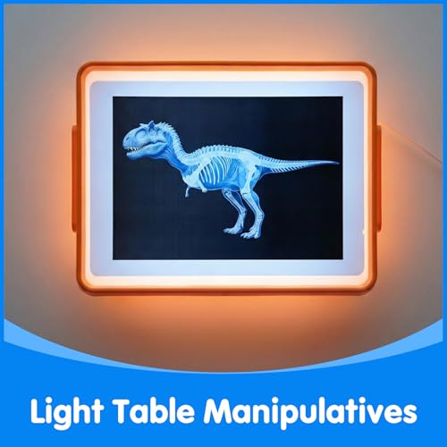 Odoorgames 15 Pcs Dinosaur Xrays Creatures CardsAnimal Xrays for KidsLight Table ToysMythical Creatures Science Kit - Image 5