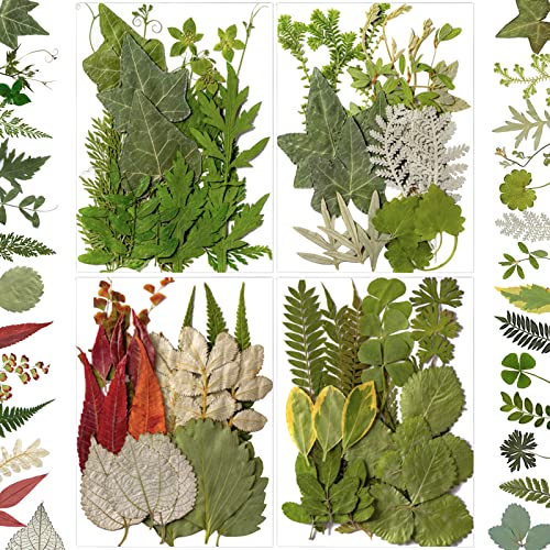 LUCISKY 84 Pcs Dried Leaves Pressed Flowers for Resin Molds, Real Natural Assorted Dry Greenery for Leaf Craft DIY, Jewelry Making, Decoration Supplies, Soap and Candle Making - Image 1