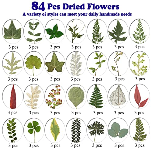 LUCISKY 84 Pcs Dried Leaves Pressed Flowers for Resin Molds, Real Natural Assorted Dry Greenery for Leaf Craft DIY, Jewelry Making, Decoration Supplies, Soap and Candle Making - Image 5