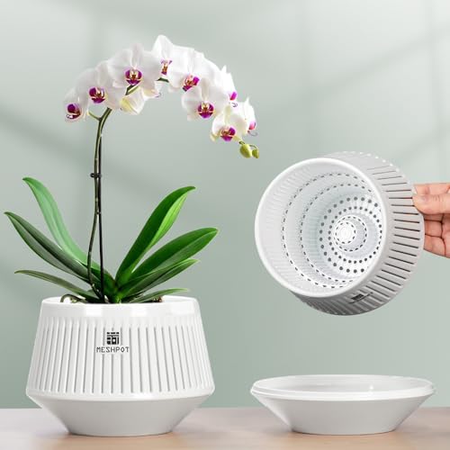 Meshpot 5 inch Orchid Pots with Holes for Repotting,Set of 1,Decorative African Violet Pots with Air-Pruning and Good Air Circulation,Plastic White Orchid Planter with Saucers - Image 1