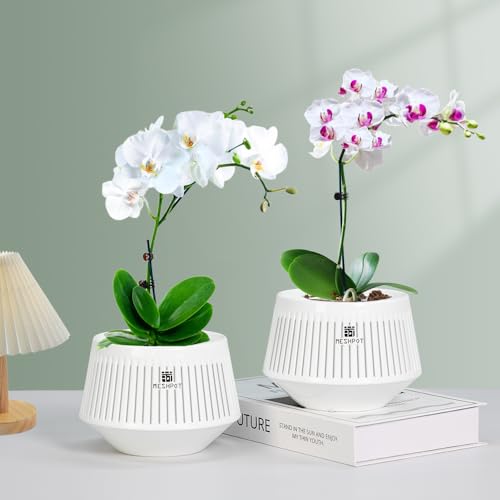 Meshpot 5 inch Orchid Pots with Holes for Repotting,Set of 1,Decorative African Violet Pots with Air-Pruning and Good Air Circulation,Plastic White Orchid Planter with Saucers - Image 2