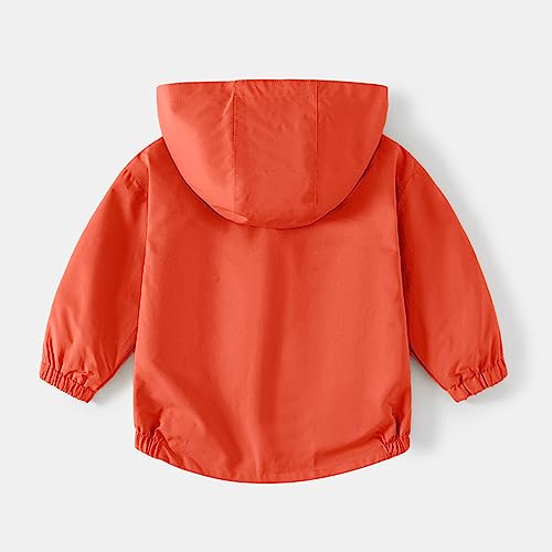 Volunboy Baby Boys Red Hooded Jacket Toddler Long Sleeve Windproof Coats Spring 2-3T Kids Zip Up Fall Lightweight Windbreaker Outerwear (Solid Red, 2-3T) - Image 2