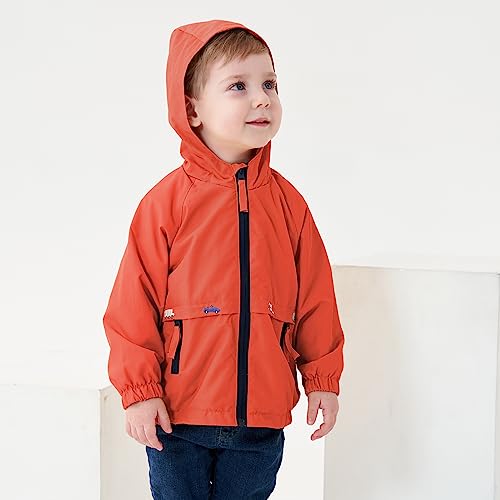 Volunboy Baby Boys Red Hooded Jacket Toddler Long Sleeve Windproof Coats Spring 2-3T Kids Zip Up Fall Lightweight Windbreaker Outerwear (Solid Red, 2-3T) - Image 5