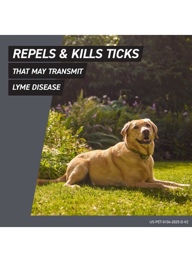 FRONTLINE Shield Flea & Tick Treatment for Large Dogs 41-80 lbs. Count of 3 - Image 5