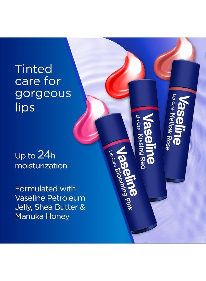 Vaseline Color and Care Lip-Therapy Mellow Rose Lip Therapy 3 g - Image 3