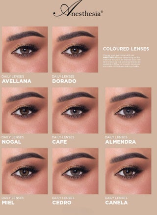 Anesthesia Once Miel Daily Colored Contact Lenses - view 5