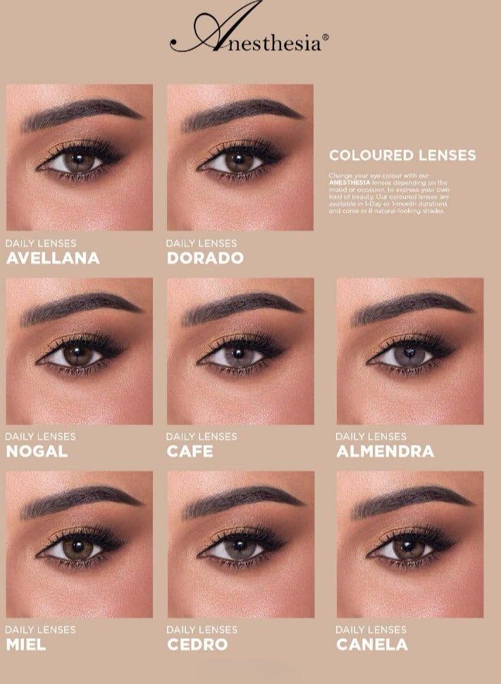 أنستازيا عدسات أنستازيا وانس اللاصقة الملونة اليومية -ميل - Image 5