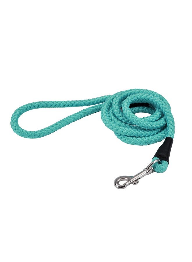 Coastal Pet Rope Dog Leash - Tangle-Free Walking - Soft-Braided Nylon - Fade-Resistant Colors with Snap Swivel Hook - Teal, 1/2" x 06' - Image 1