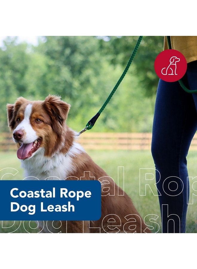 Coastal Pet Rope Dog Leash - Tangle-Free Walking - Soft-Braided Nylon - Fade-Resistant Colors with Snap Swivel Hook - Teal, 1/2" x 06' - Image 2