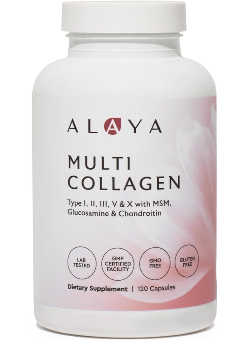 Alaya Multi Collagen Capsules – Type I, II, III, V & X with MSM, Glucosamine & Chondroitin, 120 Capsules - Image 1