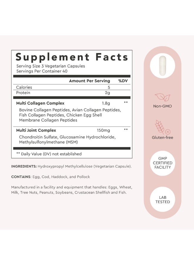 Alaya Multi Collagen Capsules – Type I, II, III, V & X with MSM, Glucosamine & Chondroitin, 120 Capsules - Image 4