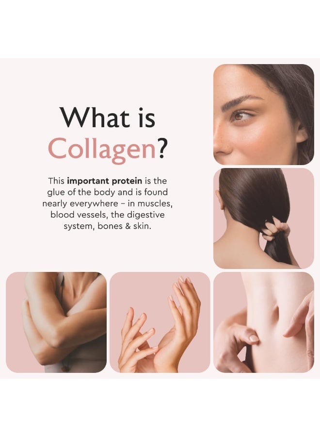 Alaya Multi Collagen Capsules – Type I, II, III, V & X with MSM, Glucosamine & Chondroitin, 120 Capsules - Image 3