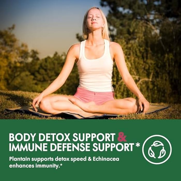 Selvaherb قطرات عشبة جذر البوكه لتصريف اللمف لدعم نظام اللمف، مكمل صبغة عشبية محسّنة 8 في 1 لتطهير الجسم ودعم المناعة مع مستخلص الإشيناسيا. 2 أونصة - Image 3