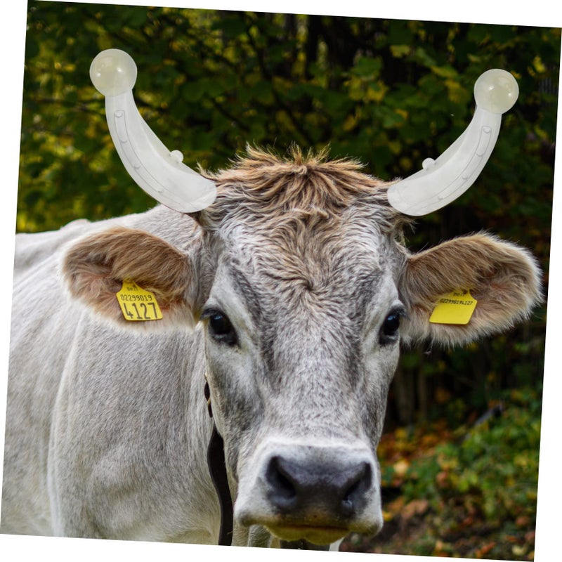 Transparent Horn Protectors For Cattle And Goats 2 Pairs Farm Hoof Cover - Image 3