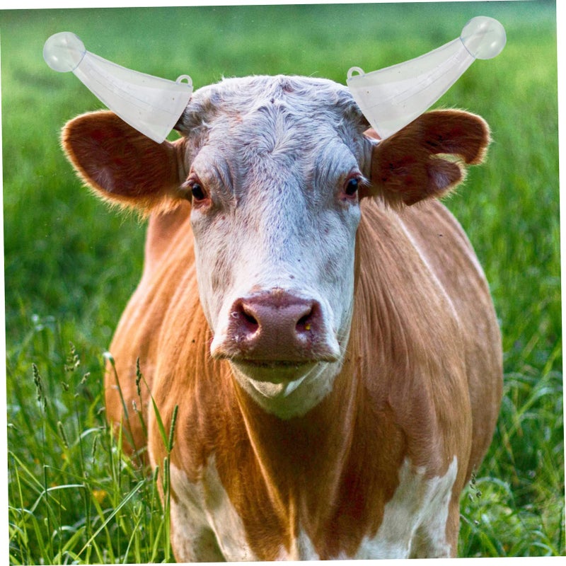 Transparent Horn Protectors For Cattle And Goats 2 Pairs Farm Hoof Cover - Image 4