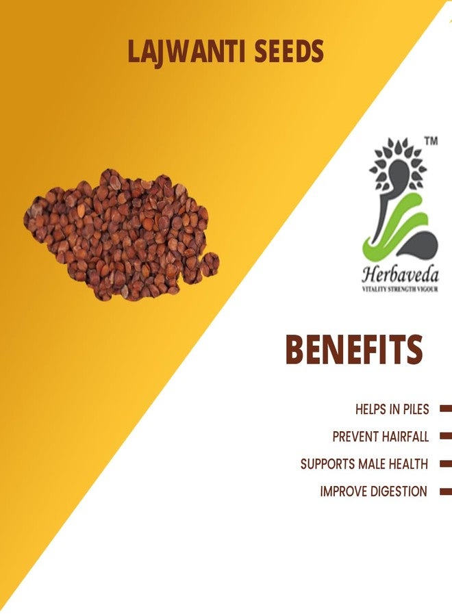 Herbaveda- Lajwanti Seeds 200g | Lajvanti Beej | Chui Mui | Mimosa pudica | Sensitive Plant Seeds - Image 3