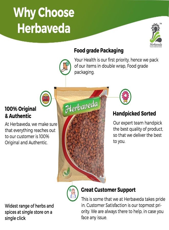 Herbaveda- Lajwanti Seeds 200g | Lajvanti Beej | Chui Mui | Mimosa pudica | Sensitive Plant Seeds - Image 2