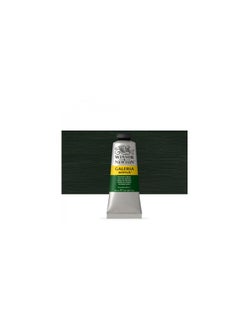 Winsor and Newton Galeria 60ml Hookers Green Acrylic - pzsku/Z7B869FE2E38CE9B23EB0Z/45/_/1661111148/ca810374-02de-41a3-bcad-99d59a76ba95